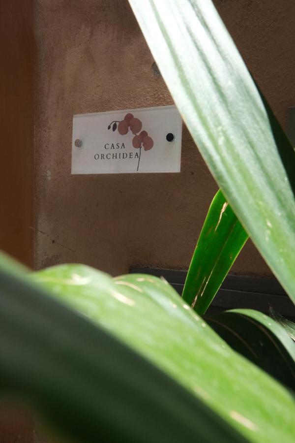 ローマCasa Orchideaアパートメント エクステリア 写真